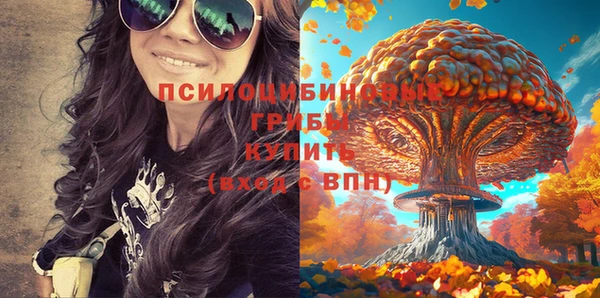 ешки Алзамай
