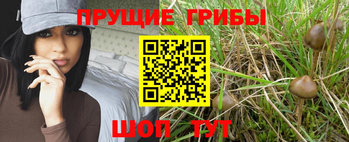 Галлюциногенные грибы Cubensis  Вход с VPN  Петровск 