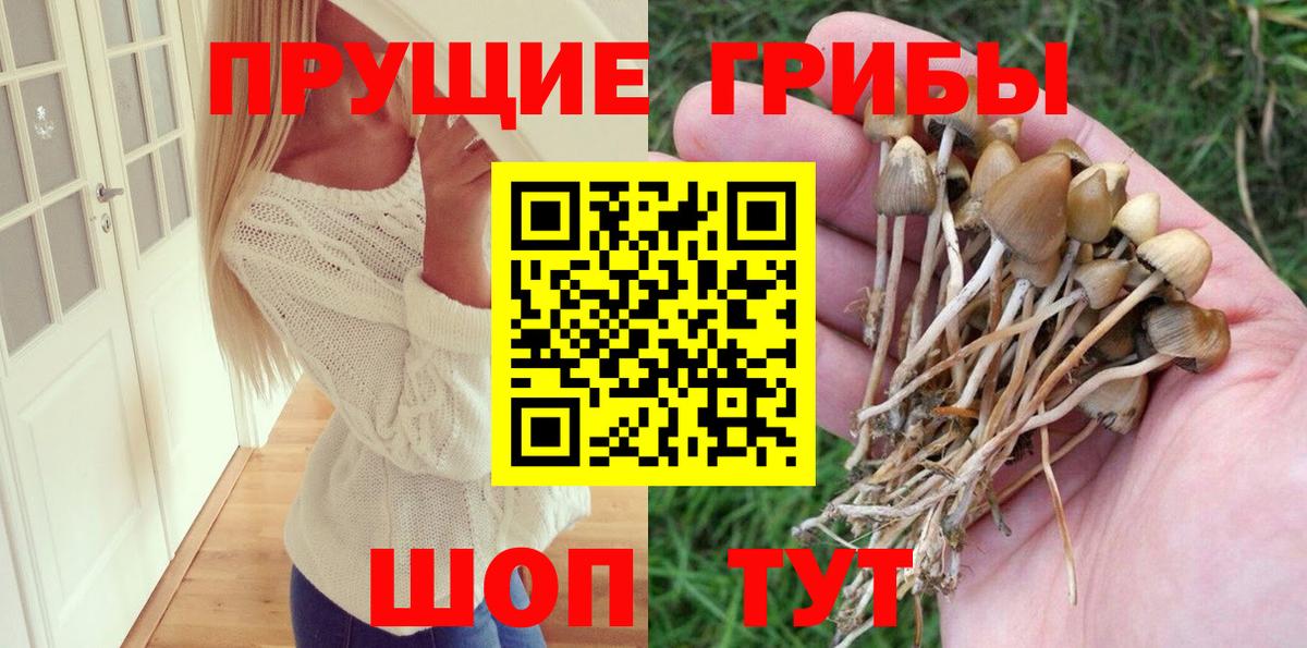 Галлюциногенные грибы мухоморы Петровск